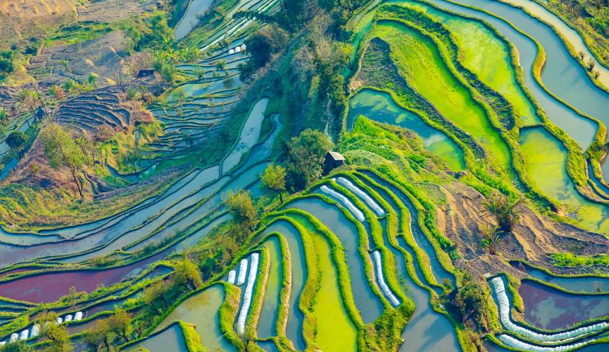 宝妈必备神器：泰州产品视频拍摄轻松育儿好帮手